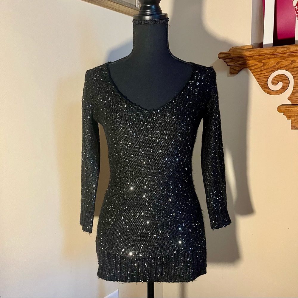 Sophie Max sweater NWOT